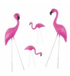 Pink colored flamingos designed in this banner