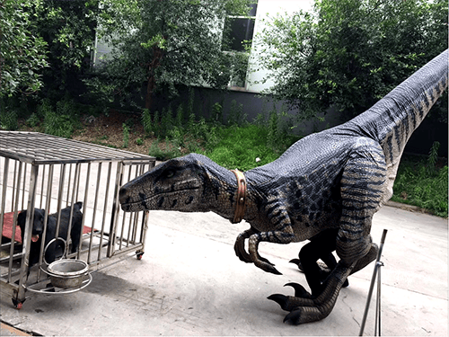  dinosaur party entertainment rolling video games connecticut