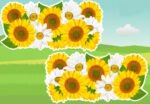 Sunflower and white flower designs